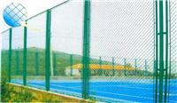 供应菱形防护网包塑护栏网PVC隔离网操场护栏网