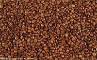 供应青岛进口/咖啡豆进口清关代理