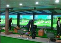 供应高尔夫模拟器 室内高尔夫 模拟高尔夫