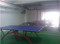武汉乒乓球台上海红双喜湖北总代理五折批发800元起买一送三