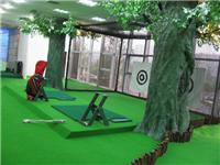 Supply of indoor golf project