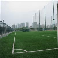 Fourniture de projet surface de gazon synthétique de soccer