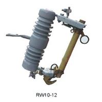 供应给力厂家RW10-10F/200A，RW10-10F/200A