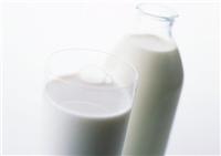 乳清蛋白生产厂家，乳清蛋白较新报价，乳清蛋白价格