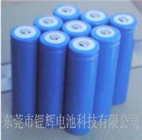供应磷酸铁 锂电池 15C放电 磷酸铁锂电池 电动自行车锂电池