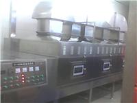 VYS-40HF虾干微波烘烤机