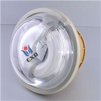 SBF6103-YQL50免维护节能防水防尘防腐灯