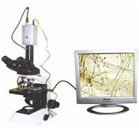 DNX-1植物病虫害检测设备仪器、病虫害检测仪、病虫害诊断仪