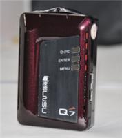Supply electronic dog in Dunhuang City & wholesale retail nationwide 包邮 & cash on delivery