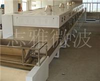 Supply microwave low temperature dryer