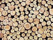 供应年底木材进口走势走高还是走低 |进口木材的代价
