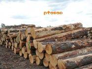 供应支持木制产品木皮、卡板、防火板材…）进口方案咨询