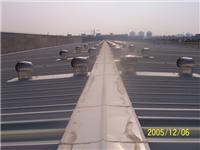 供应YB氟碳聚酯涂层铝合金通风器，屋顶风机