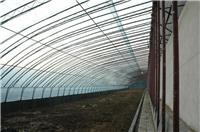 寿光半钢架温室大棚建设厂家，三元朱农业，无立柱生态温室承建