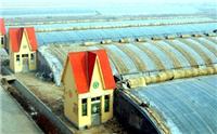 现代化农业生态温室的建造/玻璃生态温室的生产厂家