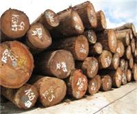 国内公司进口木材需要具备什么资质|进口马来西亚木材办理哪些手续