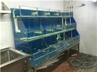 Чистка аквариума в Гуанчжоу утилизация оборудования или декоративных рыб Гуанчжоу профессиональных заболеваний рыб лечения озеленения аквариума Гуанчжоу