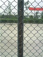 厂家供应高速护栏网 隔离栏 绿化带隔离网