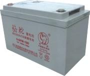 上海冠军蓄电池 冠军蓄电池报价参数