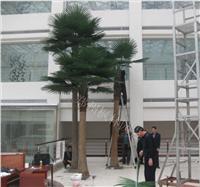 供应高仿真酒店宾馆大厅造景装饰棕榈树大蒲葵树绿色植物假树