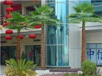 供应超市商场仿真椰子树医院大厅酒店宾馆造景装饰假树