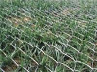 Supply chain link fence, hand-woven chain link fence factory farming Chain Link Fence