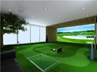 重庆模拟高尔夫/室内高尔夫模拟器/高尔夫模拟器/高尔夫球场/模拟高尔夫生产厂家/高尔夫模拟器批发/模拟高尔夫销售/高尔夫模拟练习器/高尔夫球场器材