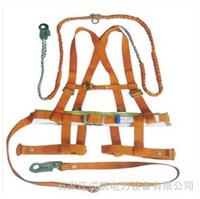 Supply of electrical harness model complete custom manufacturers quality assurance