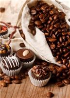 咖啡豆专业进口代理 青岛进口巧克力代理