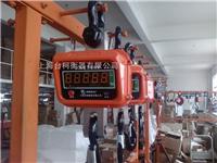 上海耀华XK3190-A12E系列1.2*1.5单斜坡电子小地磅 1T2T3T5T地磅