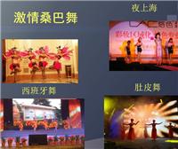 上海肚皮舞 舞台演出肚皮舞