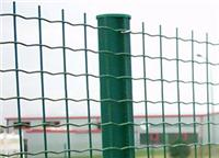 供应各种优质护栏网、隔离栅等——安平德明金属公司
