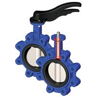 Lug type butterfly valve