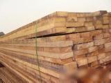 Terminalia wood supply offer, Southeast Asia Terminalia wood, Terminalia wood processing