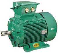 Serves French Leroysomer motors, Leroy Somer reducer, imported motor