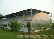 供应单栋棚薄膜温室 蔬菜大棚 花卉种植 温室大棚建设