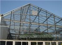 供应单体玻璃温室 蔬菜大棚 花卉种植 温室大棚建设