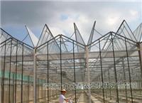 供应屋顶全开型--玻璃连栋温室 蔬菜大棚 花卉种植 温室大棚建设