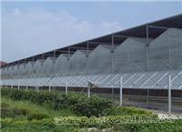 供应PC板&玻璃温室 蔬菜大棚 花卉种植 温室大棚建设