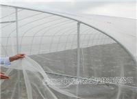 供应防虫网室温室大棚 蔬菜大棚 花卉种植 温室大棚建设