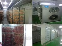 Energía Dongguan inteligente salchicha salchichas Secador Secador salchicha versátil