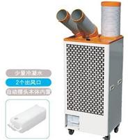 上海供应SS-40EC-8A日本瑞电双管移动冷气机 降温机