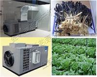 先进智能蔬菜烘干机 优质流行蔬菜烘干机