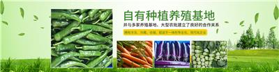 傻二哥食品-荣誉证书