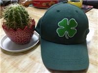 供应各类帽子 绿色花朵刺绣棒球帽
