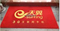 Supply of office carpet entrance