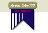 供应宁波SA8000认证咨询，杭州实施SA8000标准的好处