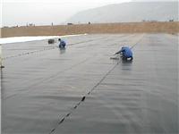 供应人工湖，屋顶花园**HDPE防渗膜∕土工膜