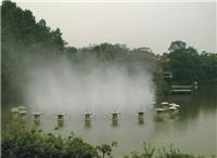广东雾森厂家 雾森设备 人造雾系统 高压冷雾系统