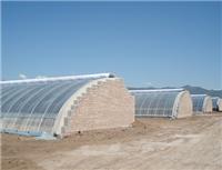 潍坊价格合理的日光温室有供应 日光温室建造
